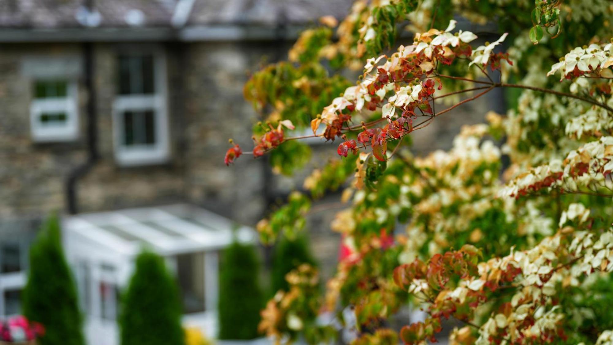 Tyn Y Fron 6 Bedroom House In Betws-Y-Coed Snowdonia Betws-y-Coed Exterior foto